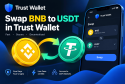 swap bnb to usd in trust wallet